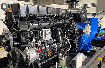 Diesel engine connected to the alternator